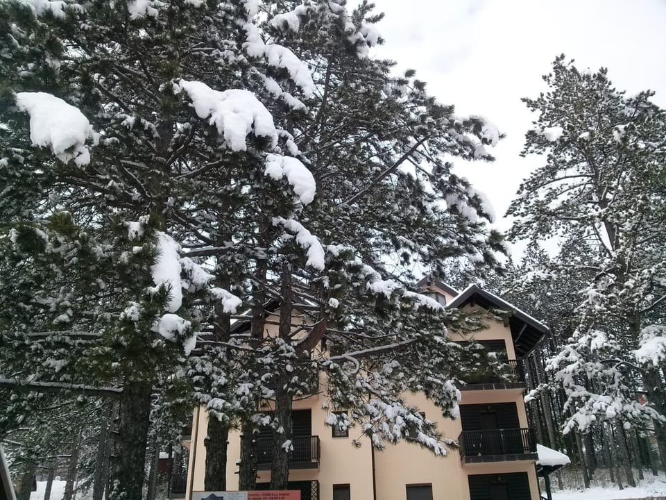 Apartman Voja Apartment in Zlatibor