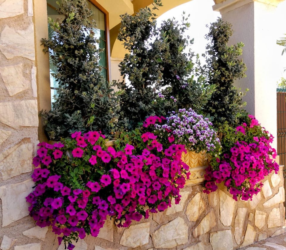 Calapanizo "Un Paraíso" Apartment in Andalusia
