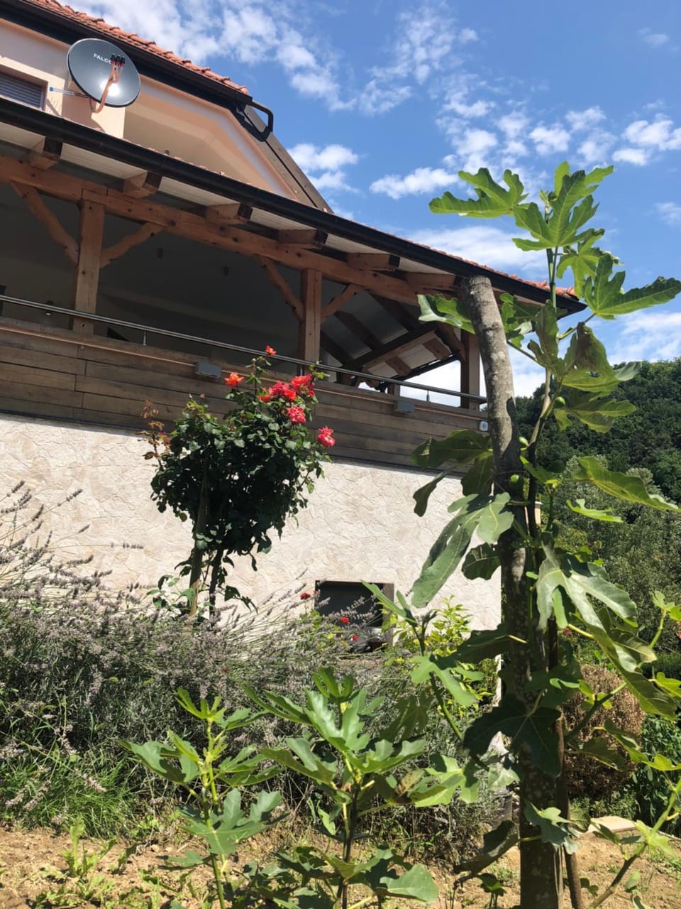 Natural landscape, Summer, Garden view