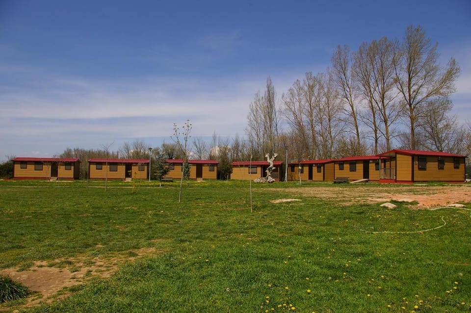 Area and facilities