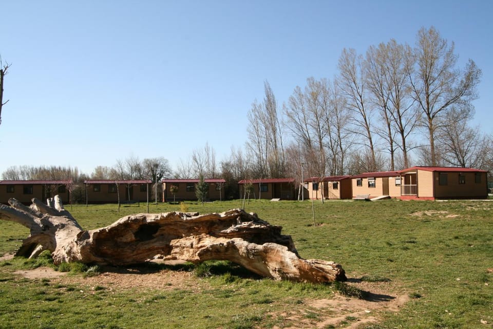 Area and facilities
