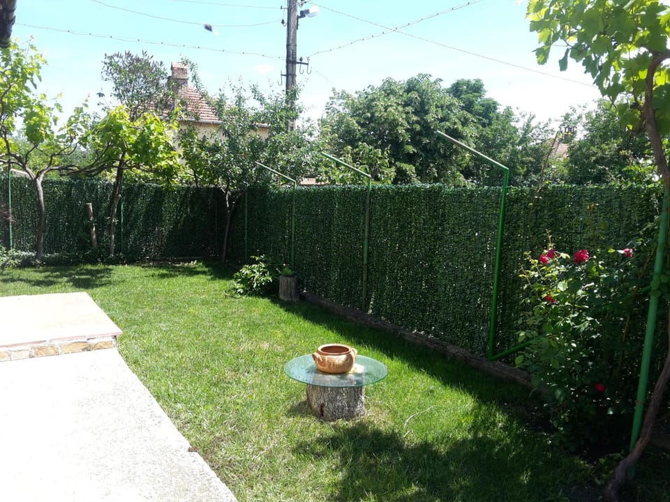 Natural landscape, Garden