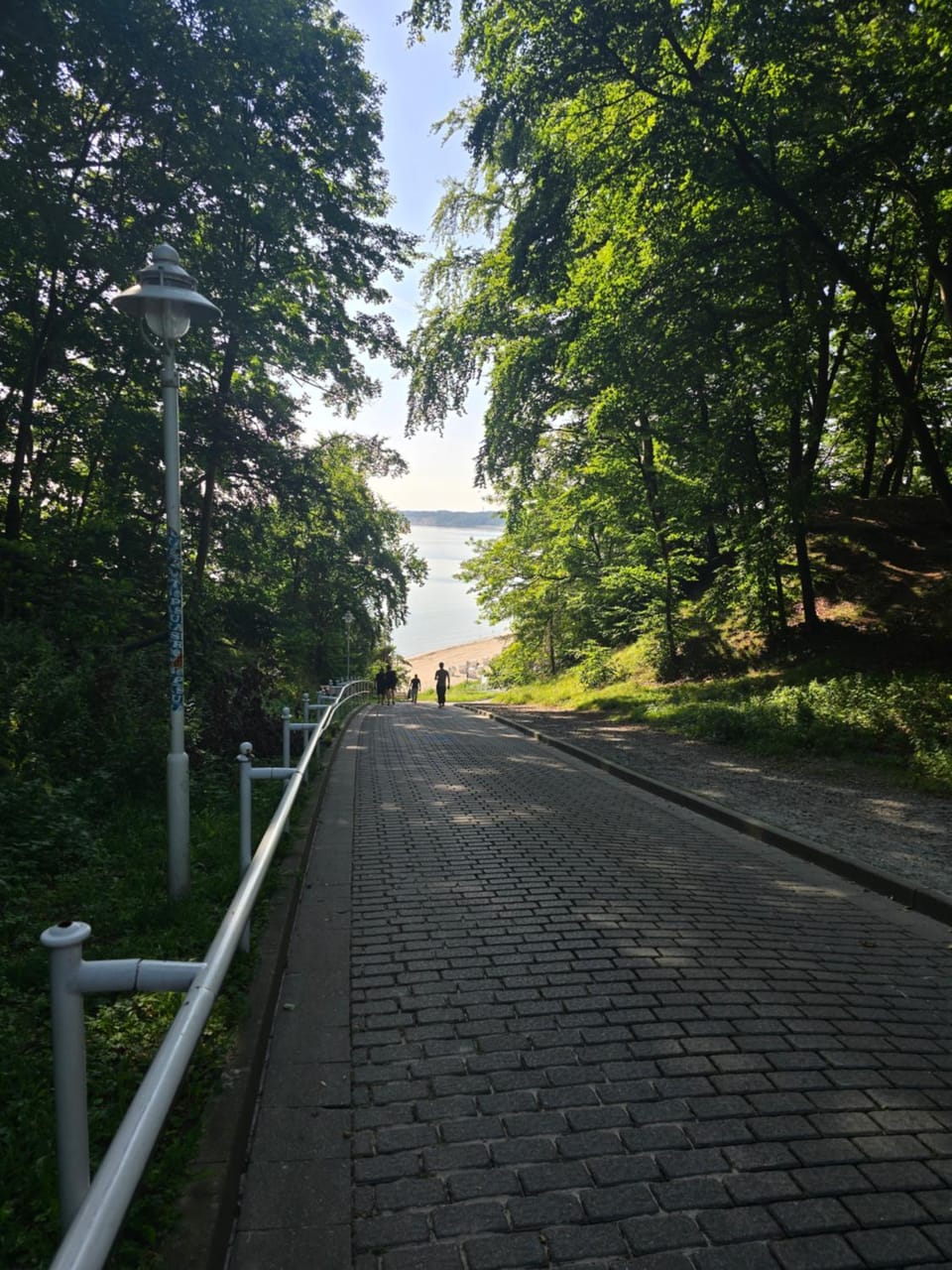 Natural landscape