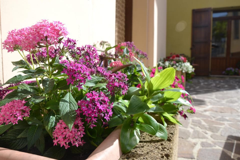 Facade/entrance, Decorative detail, Internal: Not applicable to any particular room