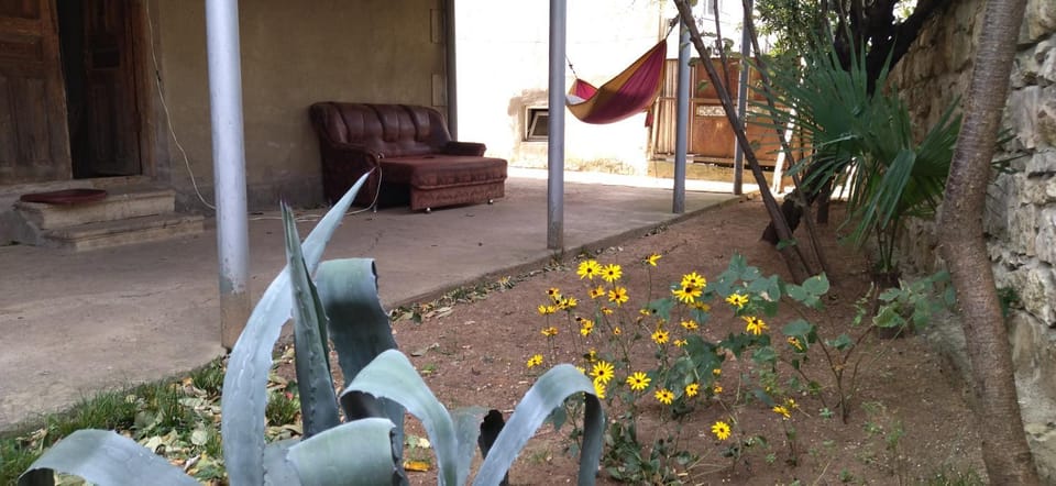 Garden, Garden view