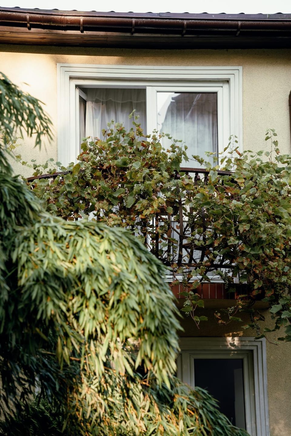 Property building, Balcony/Terrace