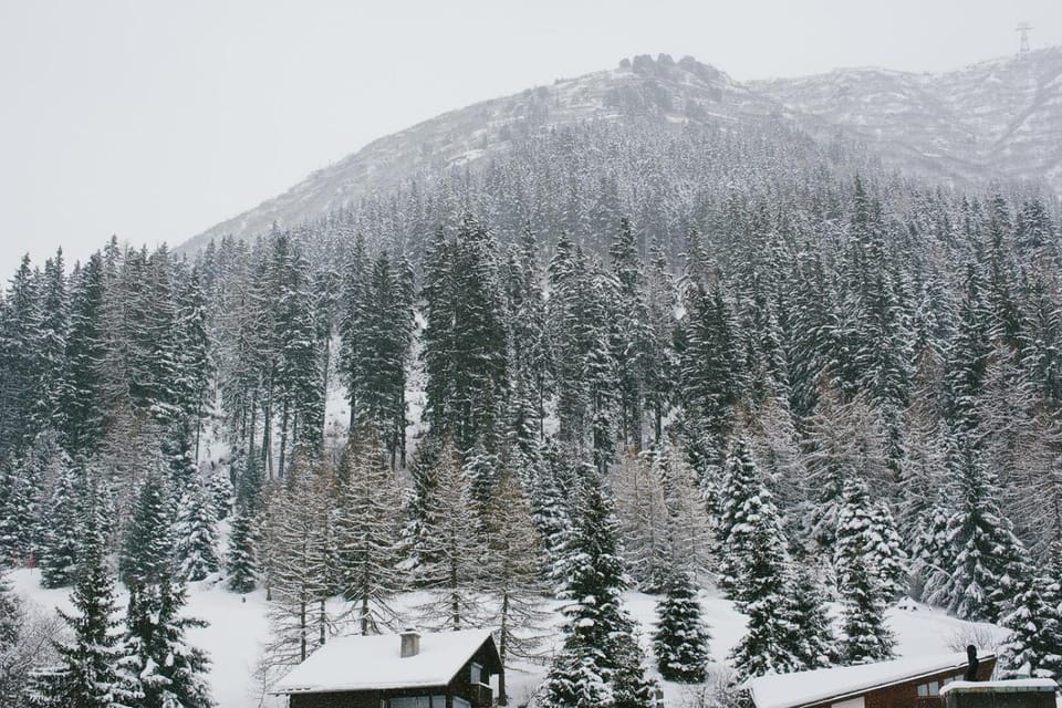 Mountain view