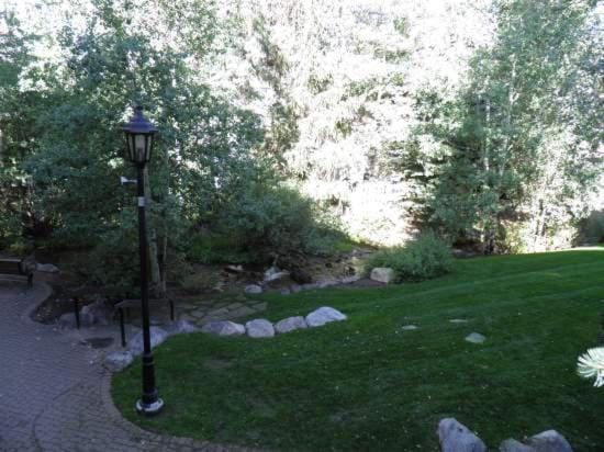 Garden view