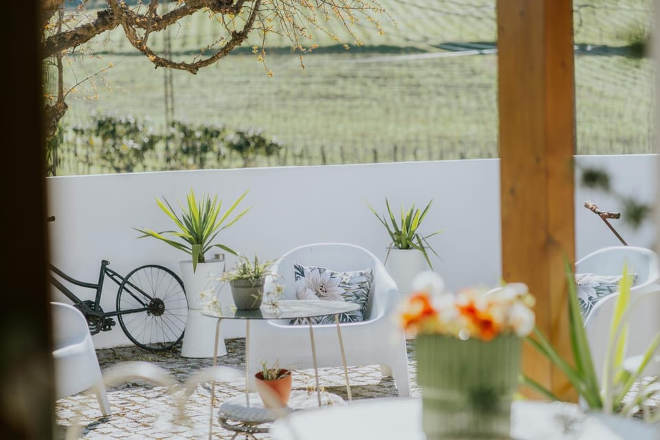 Casa Relogio de Sol Farm Stay in Vila Real District