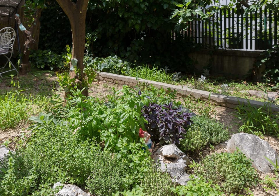 Garden, Decorative detail, On site, Garden view