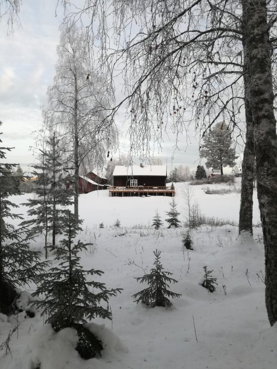 Winter