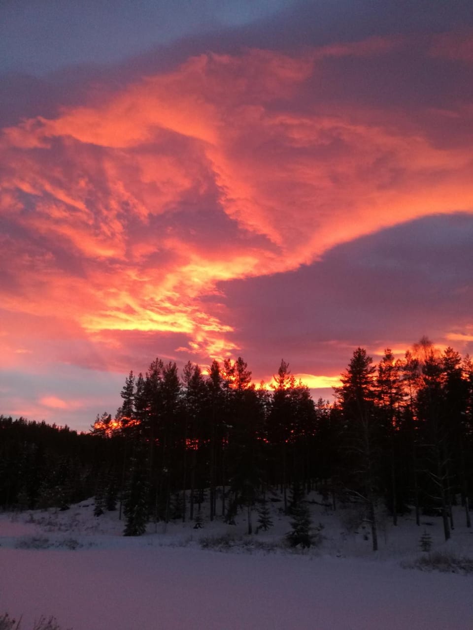 Natural landscape, Sunrise