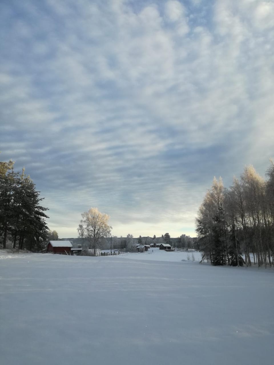 Natural landscape, Winter