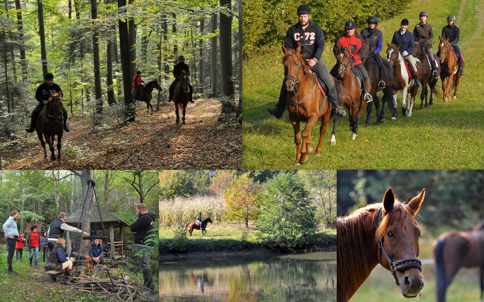 Horse-riding