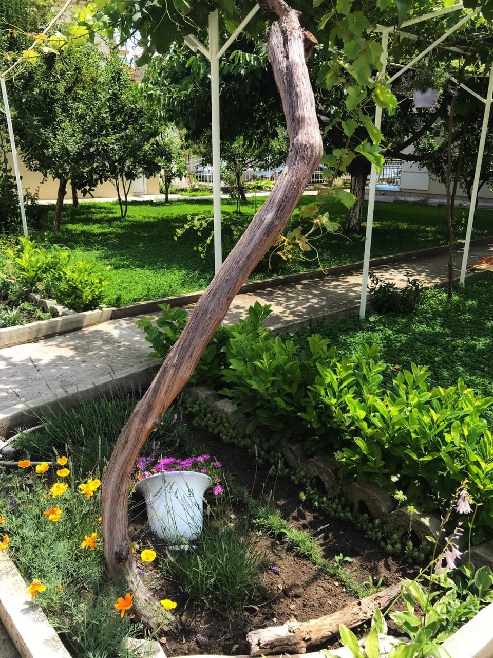 "Бербатови 1" Bed and Breakfast in Burgas Province