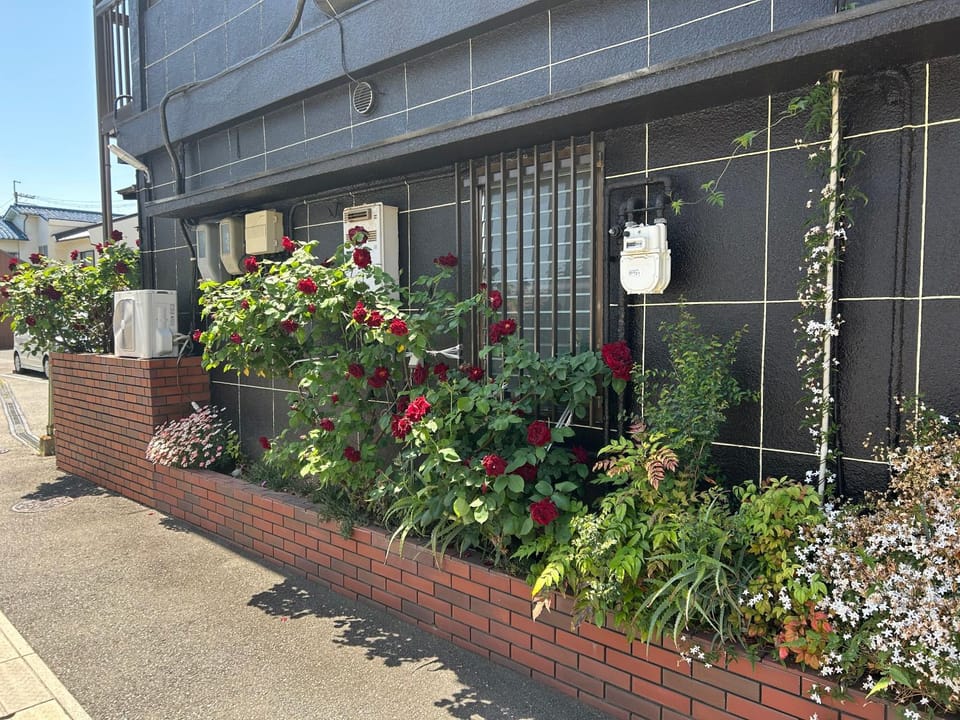 Mimatsuso Bed and Breakfast in Sennan