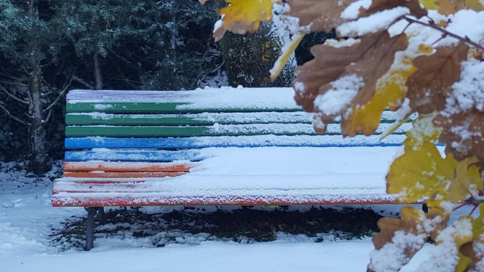 Winter, Garden