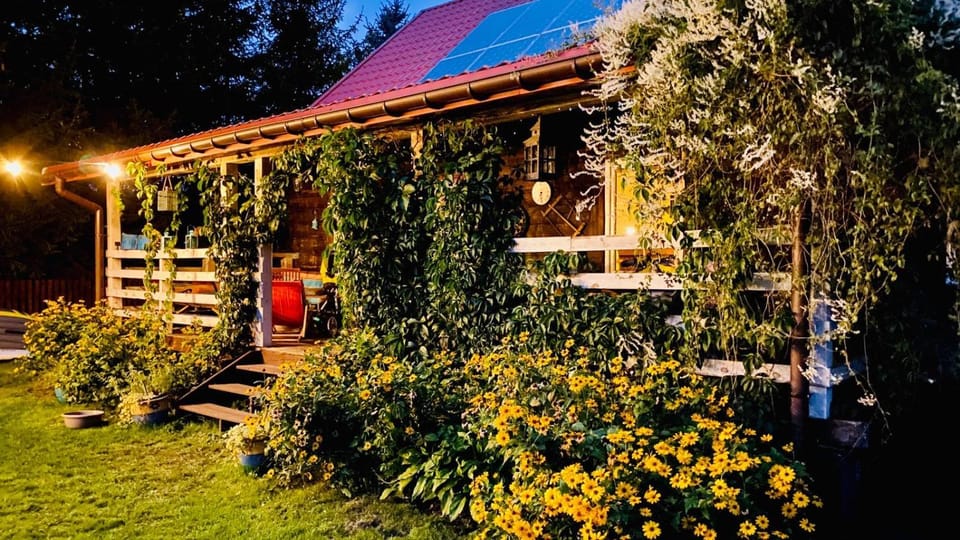 Patio, Garden