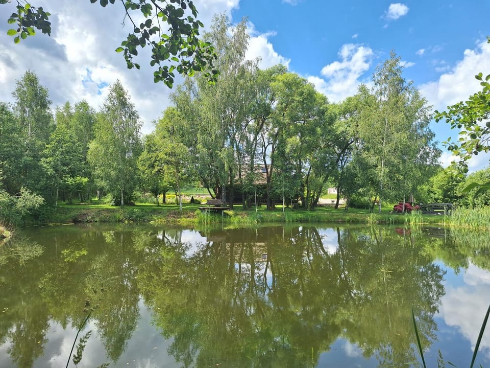 Akmeninis Bebras Villa in Vilnius County, Lithuania