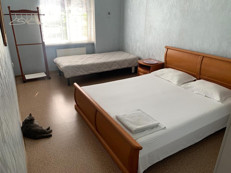 Ludmila guest house - гостевой дом "Людмила" Hostel in Odessa