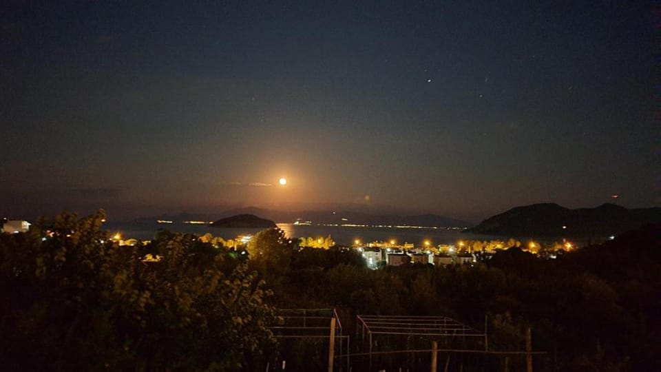 Night, Summer, On site, City view