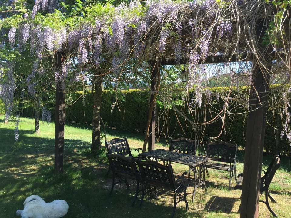 Garden, Garden view, Area and facilities