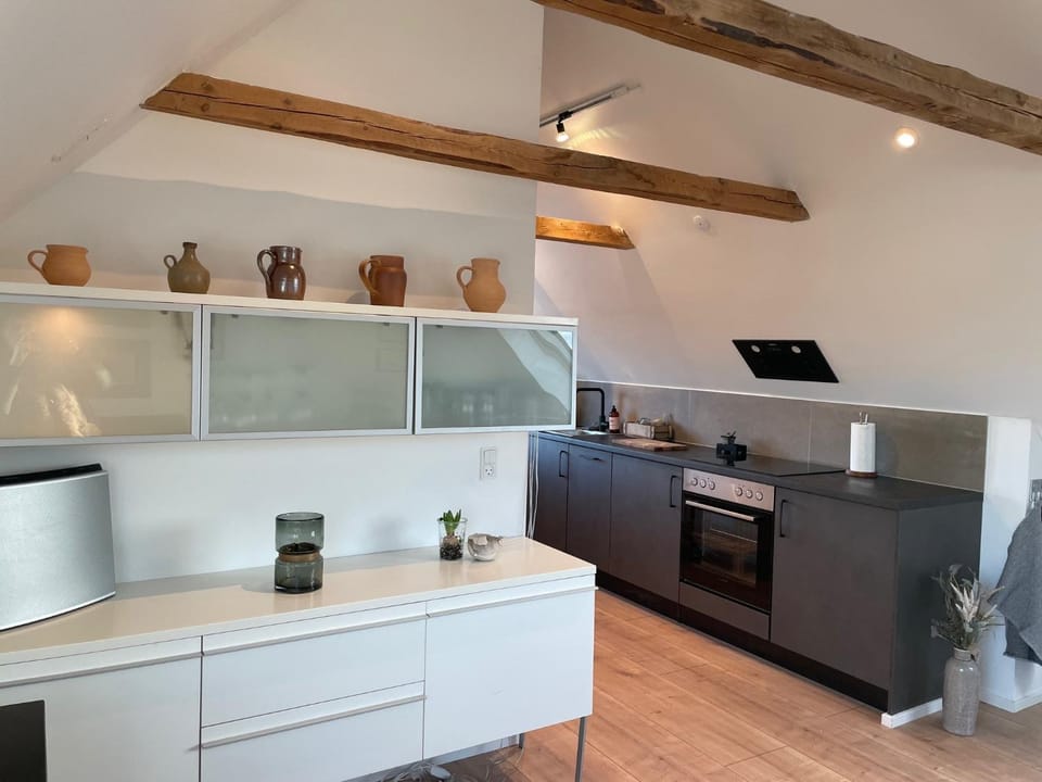 Kitchen or kitchenette, oven, stove