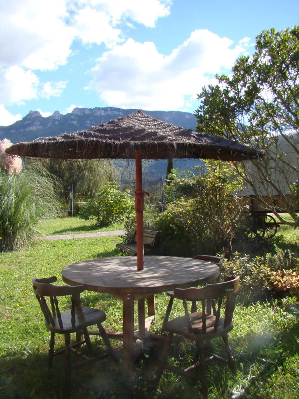 Patio, Garden