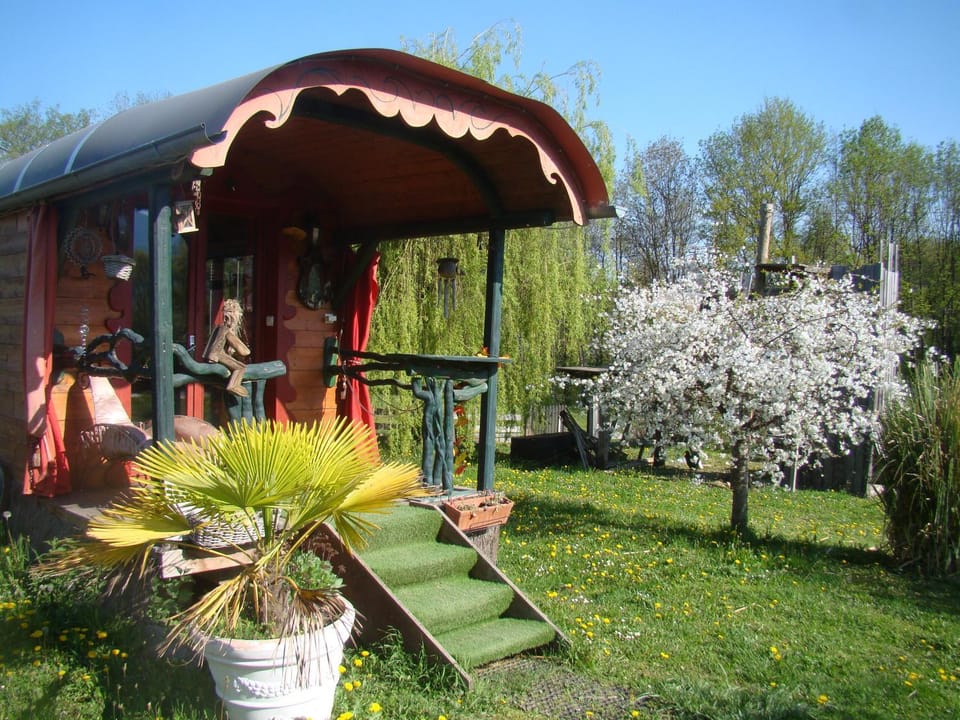 Garden view