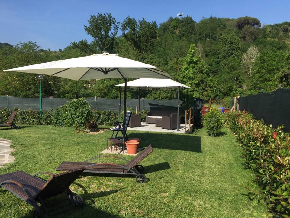 Garden, sunbed