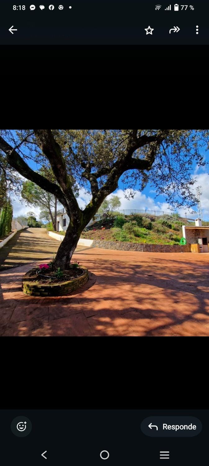 Casas Rurales el Balcon de la Brena Country House in Andalusia