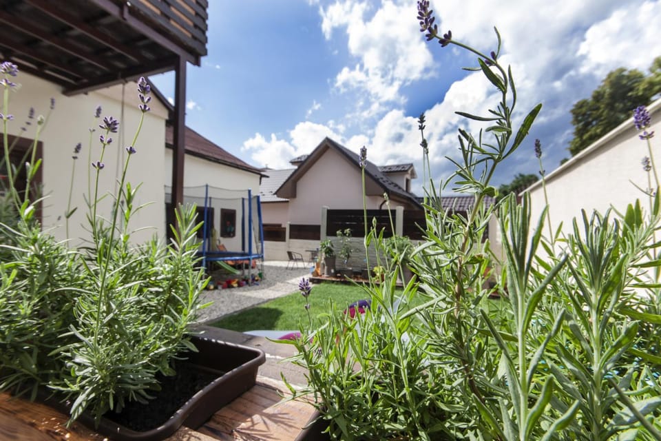 Property building, Garden