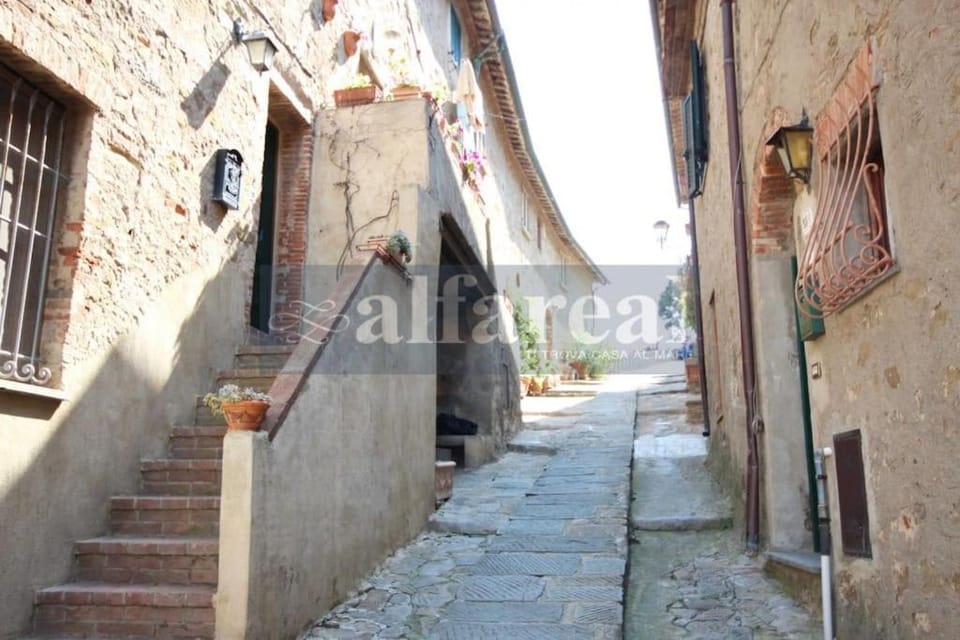 Neighbourhood, Street view