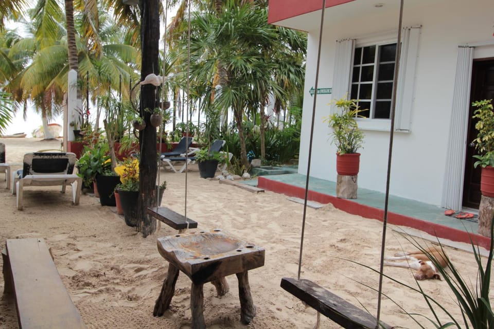 Area and facilities