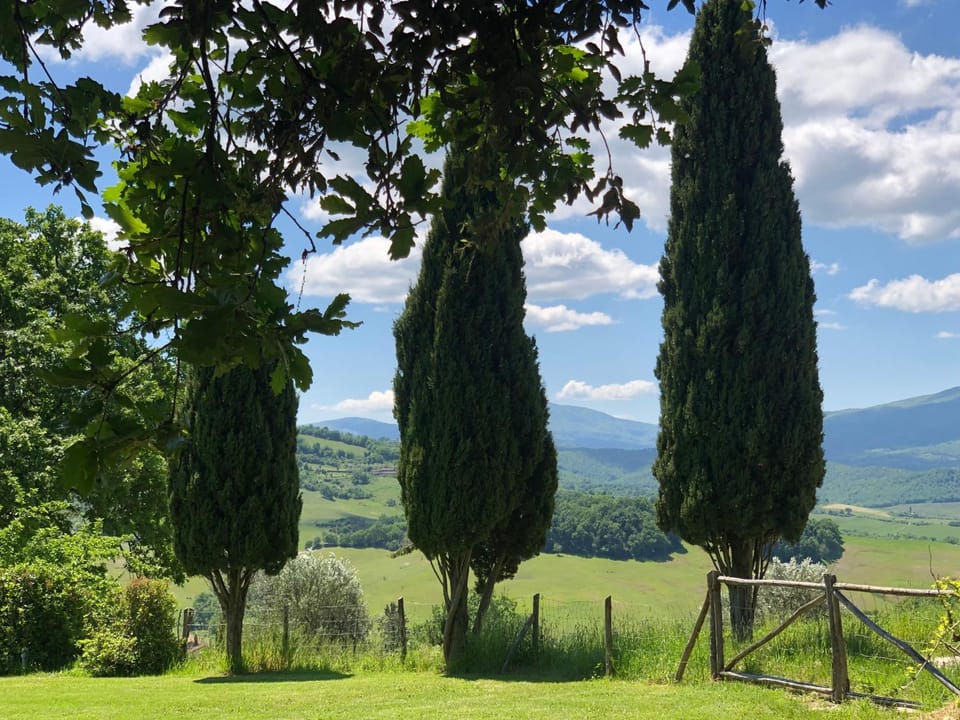 Natural landscape
