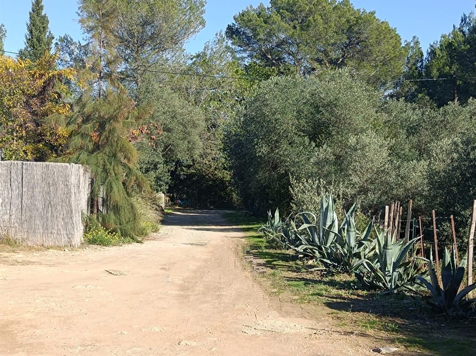Natural landscape
