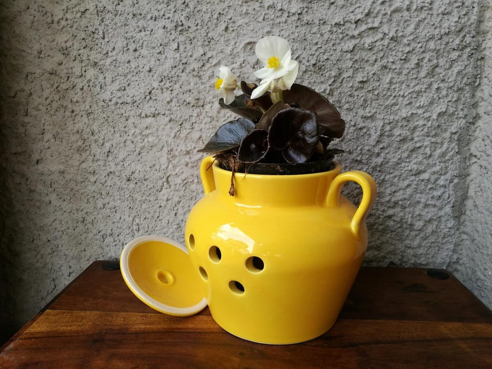 Cà Giuliana Bed and Breakfast in Marina di Carrara