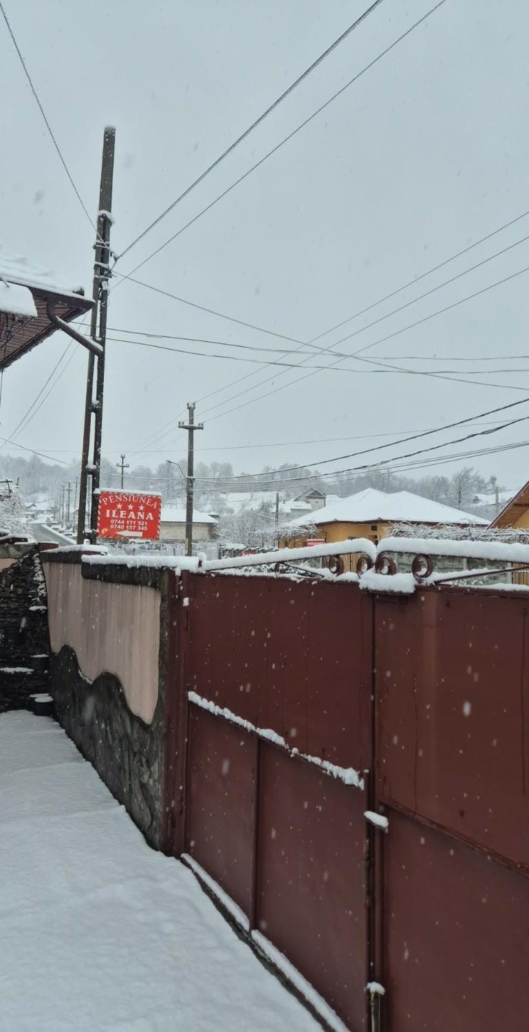 Pensiunea Ileana Bed and Breakfast in Romania