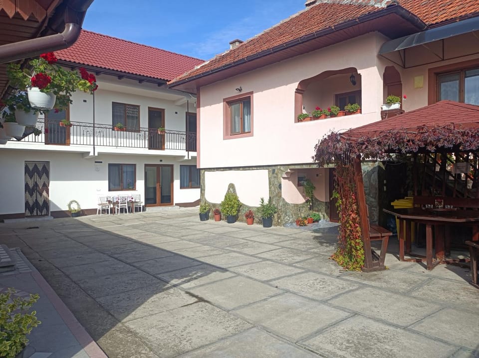 Pensiunea Ileana Bed and Breakfast in Romania