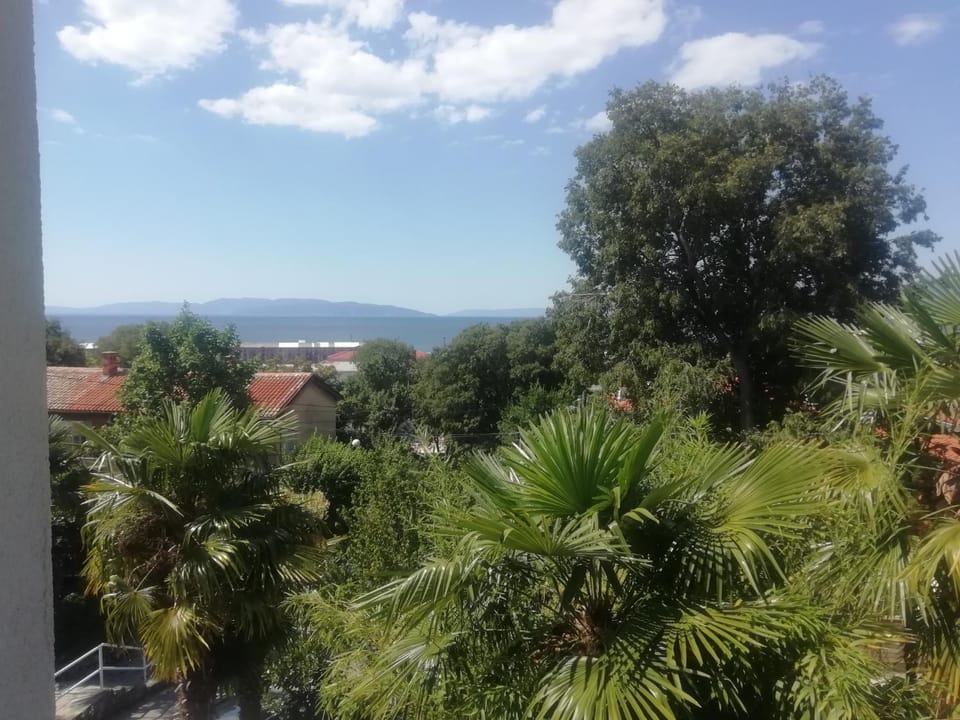 Apartmani Palmas Rijeka Apartment in Rijeka