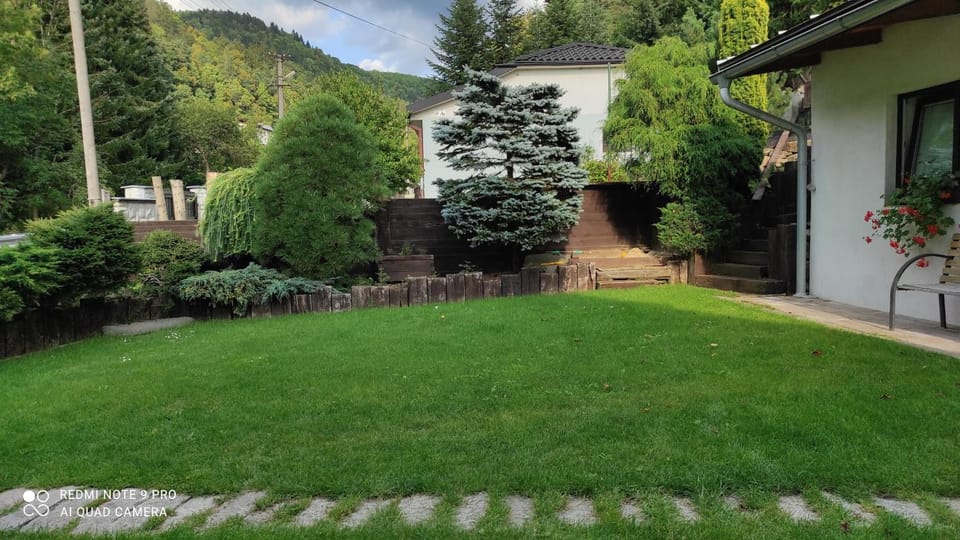 Penzion pod vejmutovym lesom Apartment in Slovakia