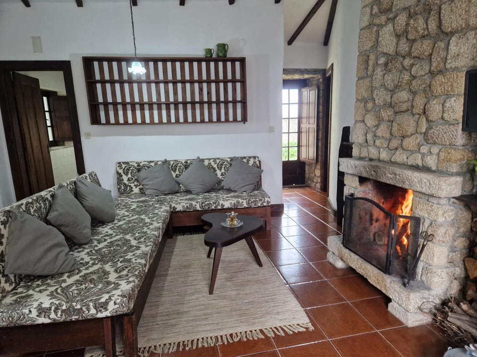 Living room, fireplace