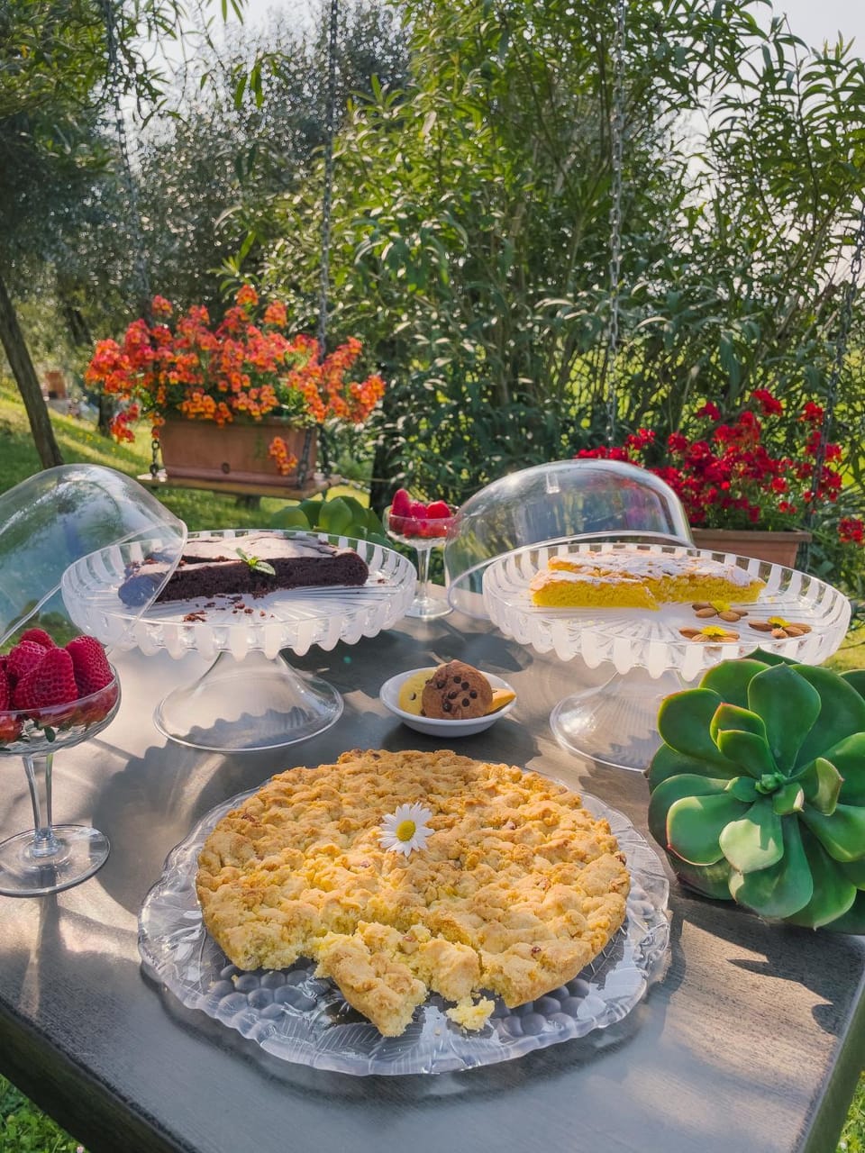 Garden, Breakfast