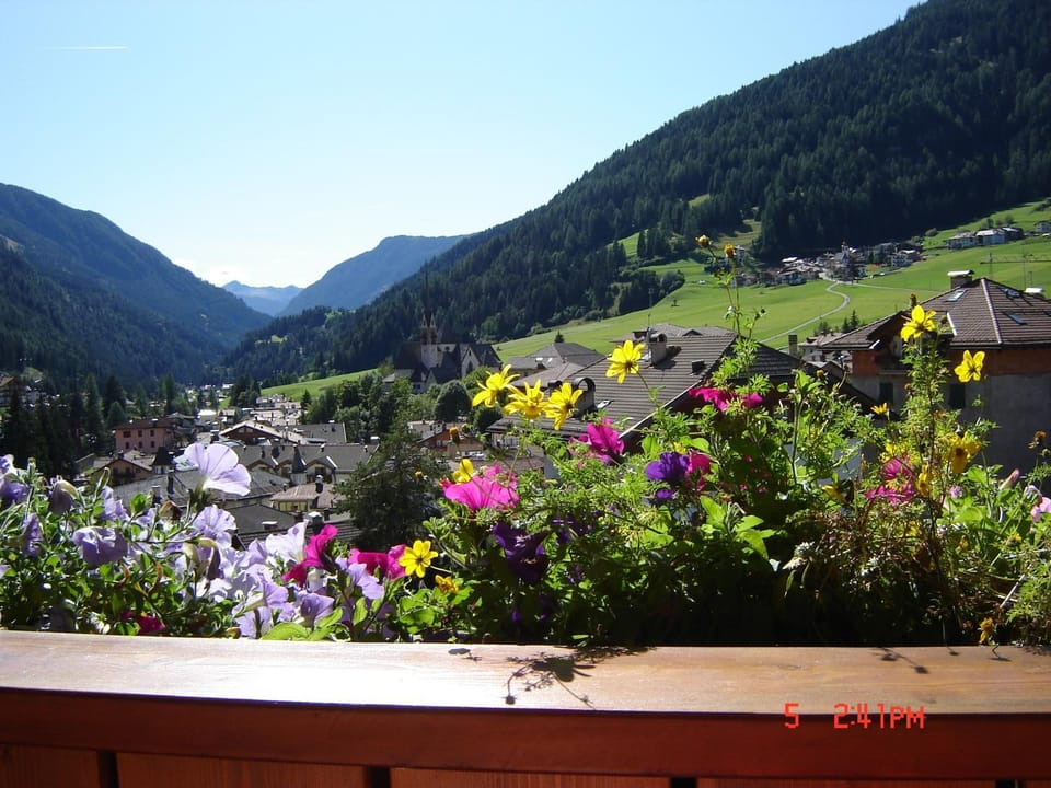 View (from property/room)