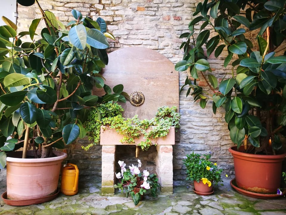 Casaforte Alba In Langa Bed and Breakfast in Piedmont