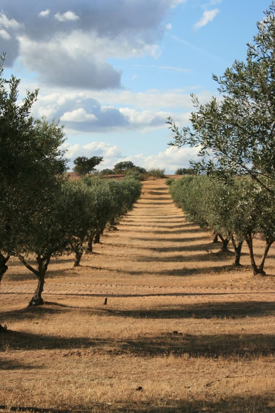 Natural landscape