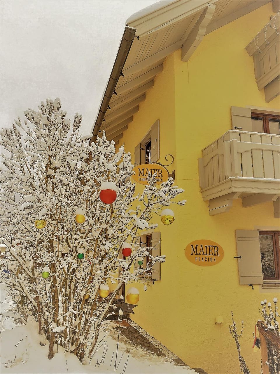 Winter