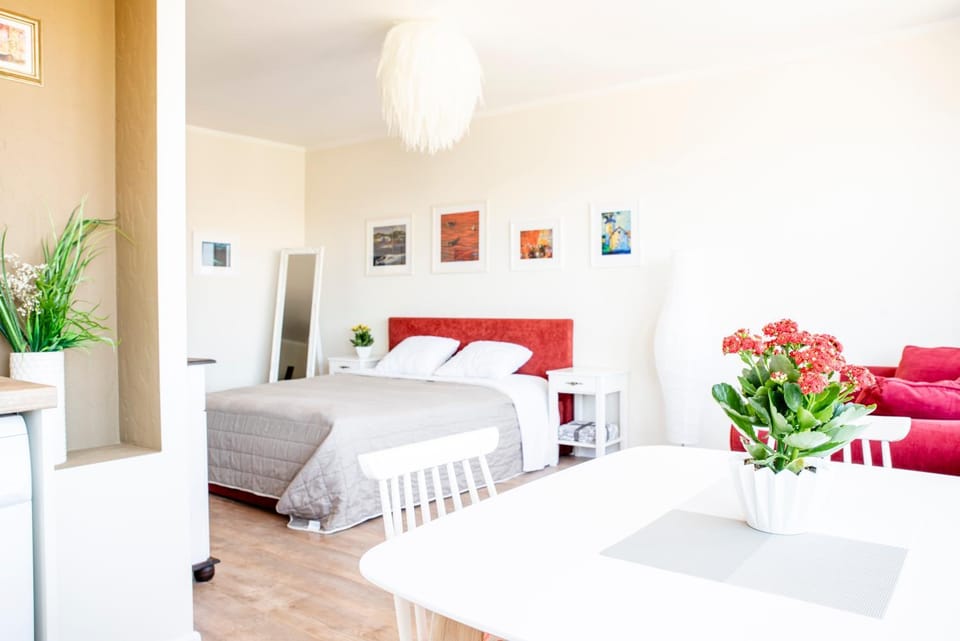 Downtown Apartment Apartment in Latvia