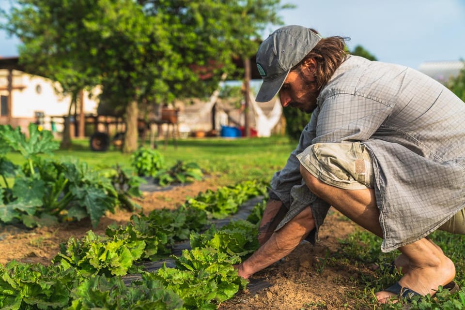 Staff, People, Activities, Garden, Floor plan, children