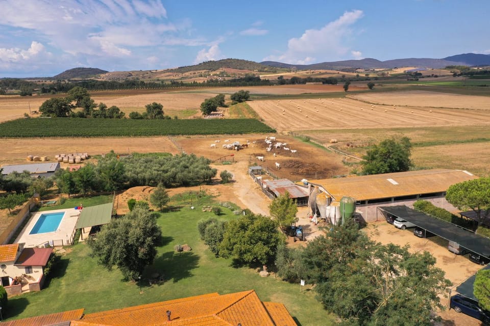 Property building, Natural landscape, Animals, Animals, Swimming pool